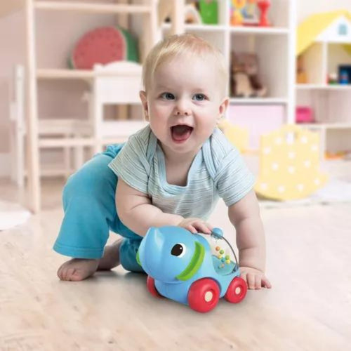 Juguete Estimulación Motora Autito Pop Elefantito
