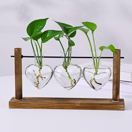 Estación De Propagación De Terrario Plant 30x16 Cm Para El