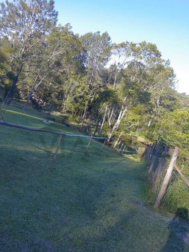 Imagem 26 de 30 de Sítio À Venda Em Juquitiba, Excelente Localização Na Rodovia Régis Bittencourt, Ideal Para Lazer, Moradia Ou Comercio - 85 - 70324044