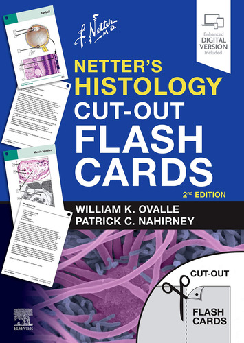 Tarjetas Didácticas Recortadas De Histología De Netter: Un C