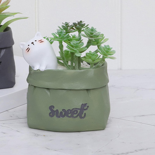 Maceta, Maceta De Resina, Mini Maceta Para Bonsái De Planta