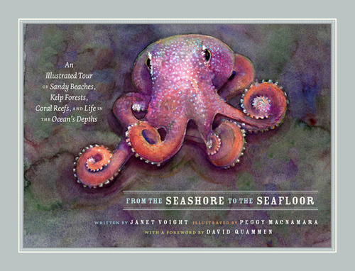 From The Seashore To The Seafloor: An Illustrated Tour Of Sandy Beaches, Kelp Forests, Coral Reef..., De Voight, Janet. Editorial Univ Of Chicago Pr, Tapa Dura En Inglés