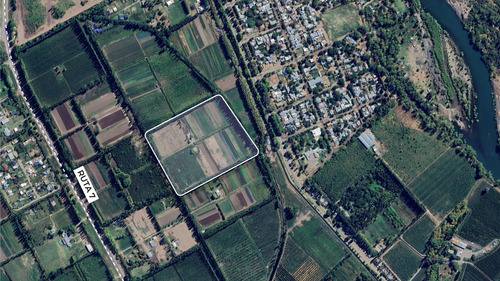 Venta De Chacra 6 Hectareas - Vista Alegre