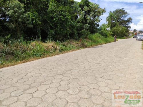 Imagem 4 de 7 de Terreno Para Venda Em Peruíbe, Sao Joao Batista - 3847_2-1244052