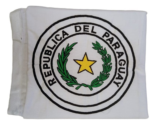 Bandera Ceremonia Republica De Paraguay 90 X 140