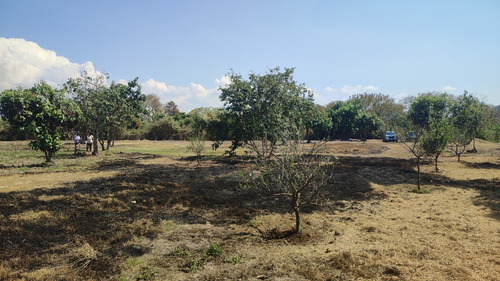 Venta De Terrenos En Tlayacapan, Morelos Todo O En Lotes
