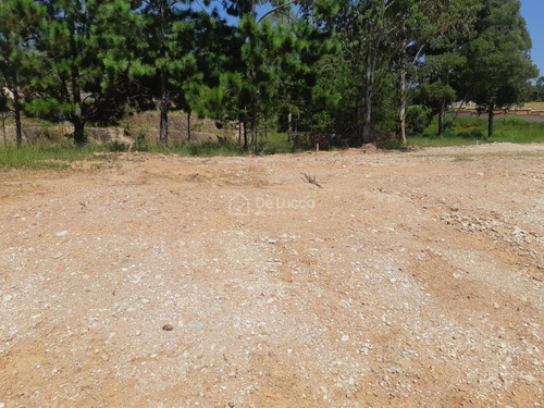 Imagem 6 de 9 de Terreno À Venda Em Dois Córregos - Te011344