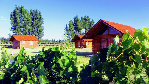 Imagen 15 de 19 de Chacra - Las Paredes San Rafel, Mendoza, Argentina.
