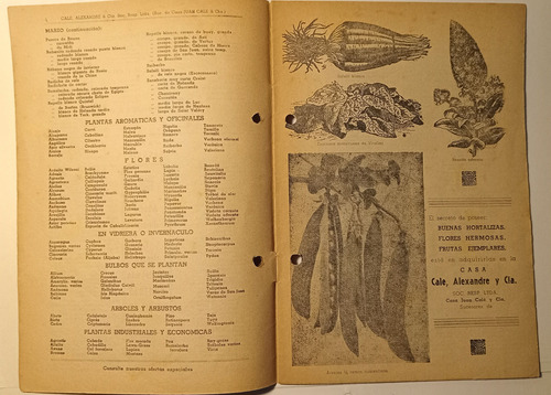 Revista De Siembra Calé Y Cia Antiguo Calendario (Usado)