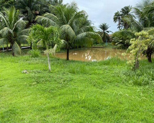 Imagem 16 de 19 de Terreno - Ak508a2022 - 67856797