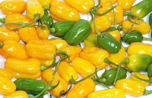 Pimenta Cheiro Do Norte Capsicum Sementes Para Mudas