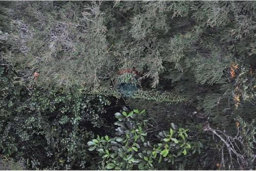 Paraíso: Predio Y/o Bosque Con Dos Islas Privadas