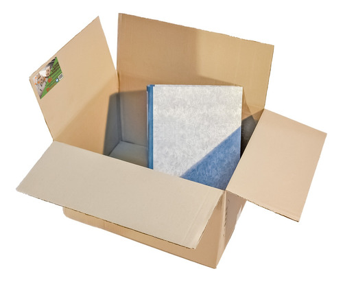 Cajas Cartón 50x40x30 Embalaje Mudanza Reforzadas Pack 15u