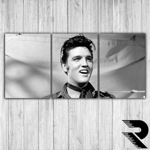 Cuadro De Elvis Presley | 4 | Triptico