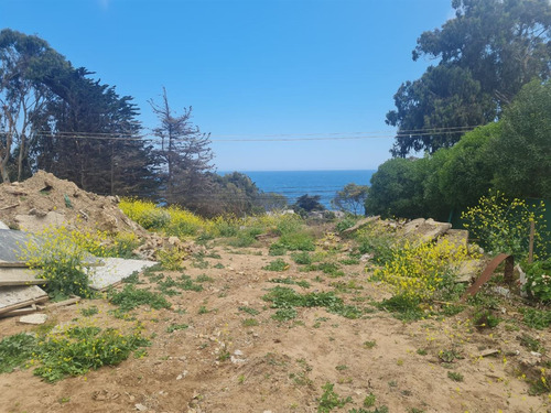 Sitio Pangue En Venta En Zapallar