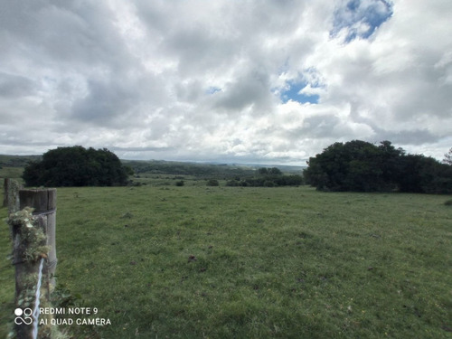 Campo Proximo A Pueblo Eden- Ref: 30755