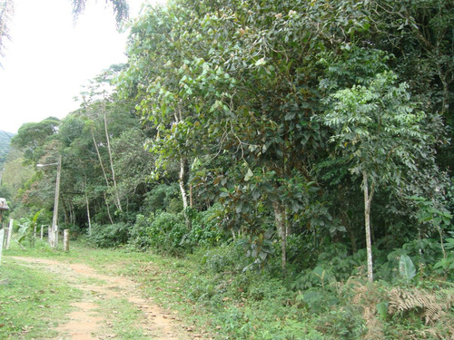 Imagem 8 de 14 de Terreno - Cachoeiras Do Amâncio - Biguaçu - Sc