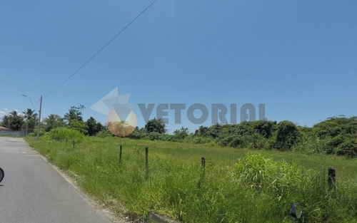 Imagem 3 de 8 de Terreno, 4000 M² - Venda Por R$ 1.400.000,00 Ou Aluguel Por R$ 3.000,00/mês - Barranco Alto - Caraguatatuba/sp - Te0053