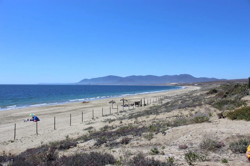 Sitio De Más De 5.000m2 En Exclusivo Condominio Las Mostazas
