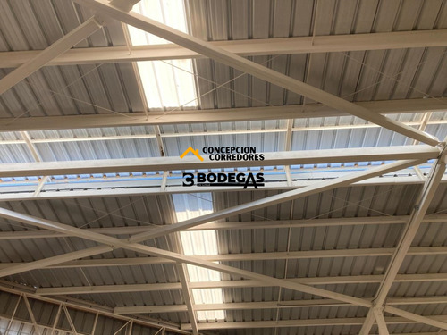 Arriendo Bodega De 300 M2 En Camino A Noviciado.