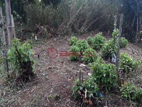 Imagem 4 de 4 de Terreno Com 240 M² Próximo A Feirinha Do Alto. - Te00246 - 34190594