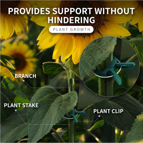50x Plant Clips For Vines Grow Upright Climbing Fish S