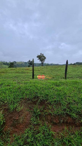 Imagem 21 de 23 de Sítio - Vivendas Do Engenho D Água - Si0262