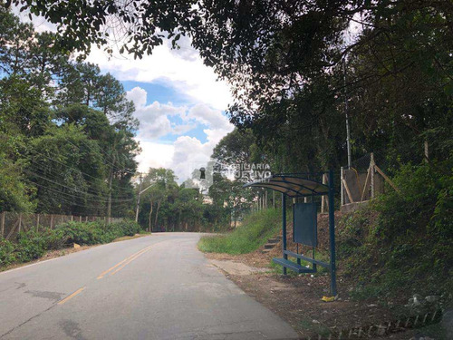 Imagem 13 de 13 de Área 96000m², Brotas (caucaia Do Alt0) - R$ 5.76 Mi, Cod: 4069 - V4069