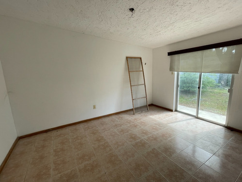 Imagen 7 de 10 de Chalet Con Apartamento Integrado Y Dos Galpones