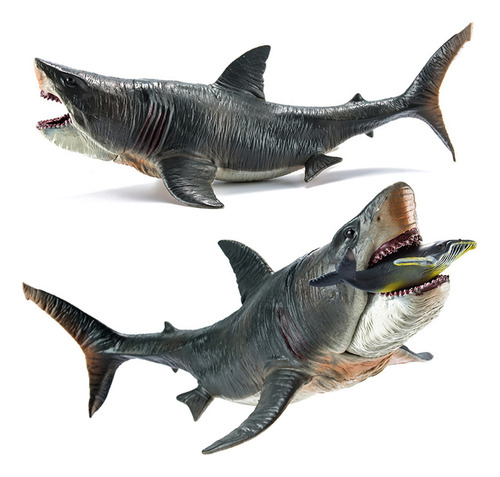 Juguete De Megalodón Oceánico Realista De Figure Scientific