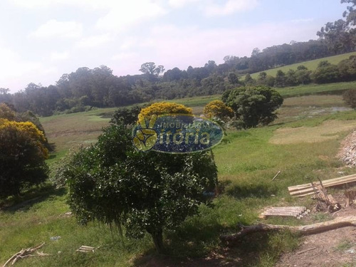 Imagem 1 de 16 de Chácara Para Venda No Jardim Las Palmas - Sbc - 9156