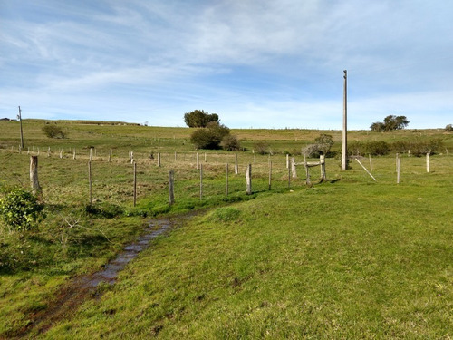 Chácara 15.000 M² - Passo Grande - Glorinha - Rs - 1514 - 32420035