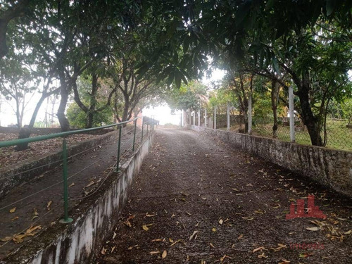 Imagem 24 de 30 de Chácara Com 1 Dormitório, 6500 M² - Venda Por R$ 650.000,00 Ou Aluguel Por R$ 2.500,00/mês - Tupi - Piracicaba/sp - Ch0161