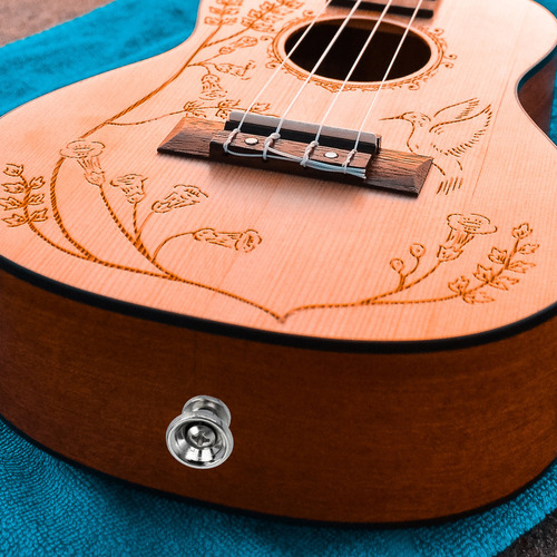 Correas De Guitarra Con Cierre, Clavos Para Extremos De Guit