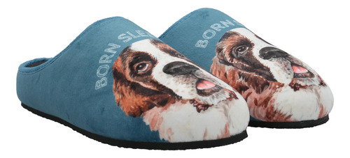 Pantufla Hombre Hp Slipper Bernard Azul