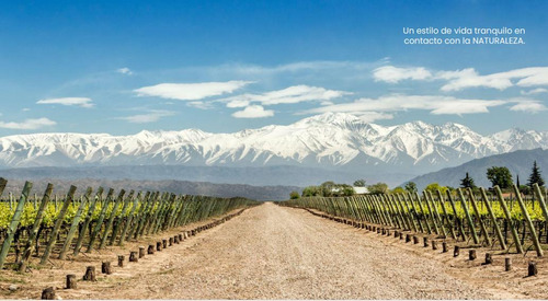 Lote En Venta Chacras De Coria - Parque Isla En Proyecto Qvattro Viamonte - Mendoza