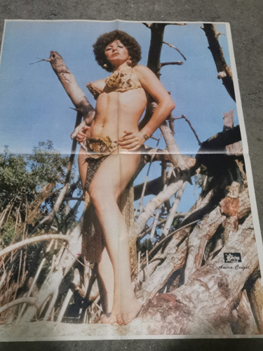 Poster Supergigante De Amira Cruzat Vintage Años 70