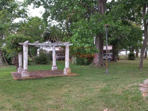 Imagen 10 de 30 de Venta De Campo De 21 Has Entre Jeppener Y Ranchos