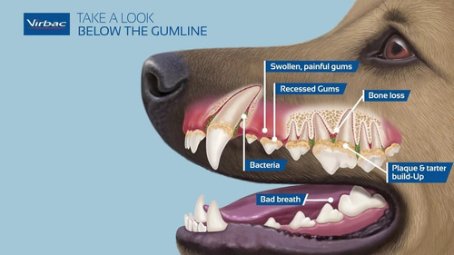 Aquadent Higiene Oral Control Mal Aliento Perro Gato Virbac Sabor Sin Sabor