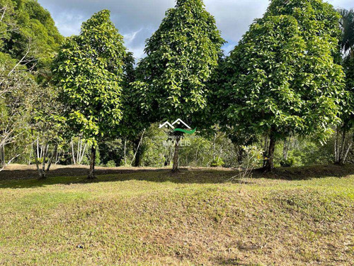 Imagem 26 de 30 de Chácara Com 2 Dorms, Area Rural, Pedro De Toledo - R$ 420 Mil, Cod: 568 - V568
