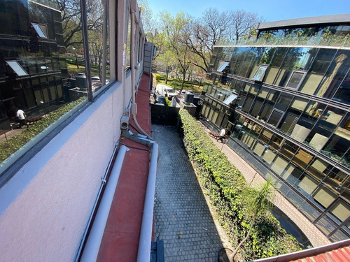 Excelente Oficina De 250 M2 En Prado Norte