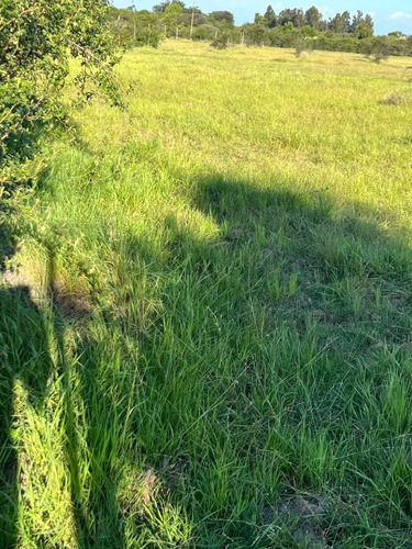 Se Vende Parcela De 5.000 Mt2 Cerca De Parral (126604)