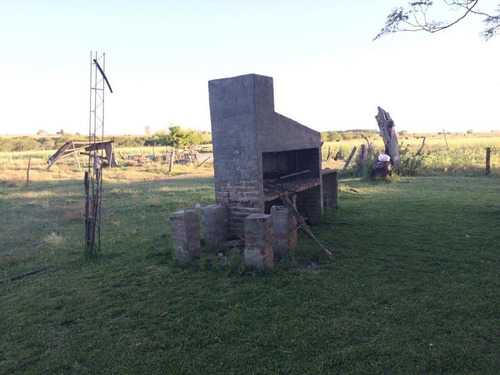 Imagen 9 de 17 de Campo De 10 Hectareas A 1500 Mts De Ruta 39 Con Chalet 4 Amb U$s180.000