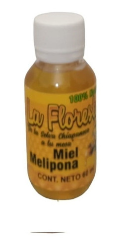 Miel Melipona 100% Natural De La Selva Chiapaneca