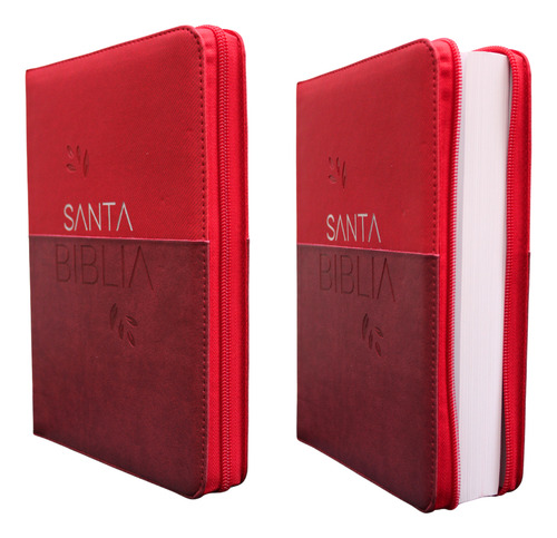 Santa Biblia Reina Valera 1960 Letra Gigante Roja C/cierre