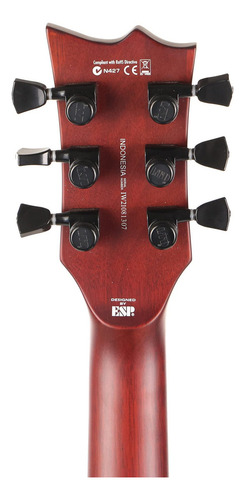 Guitarra elétrica Esp 6 Strings Ltd Deluxe Ec-1001, Eye Of