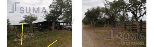 Rancho En Venta Sobre Carretera Tuxpan - Tampico, Ozuluama Veracruz