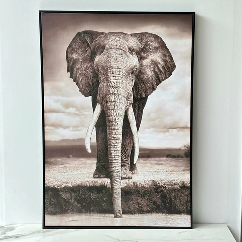 Cuadro Elefante Decorativo 70cm X 100cm