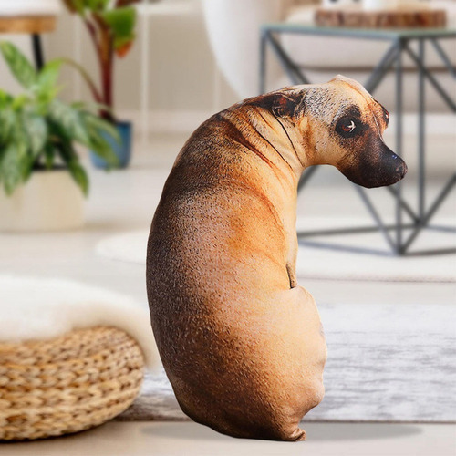 Almofada 3d Cachorro Caramelo Meme 50cm - Pronta Entrega2025
