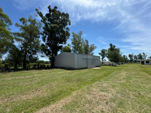 Campo / Fracción Comercial 12 Ha. Y 3650 M² Edif. S/ Rn 5